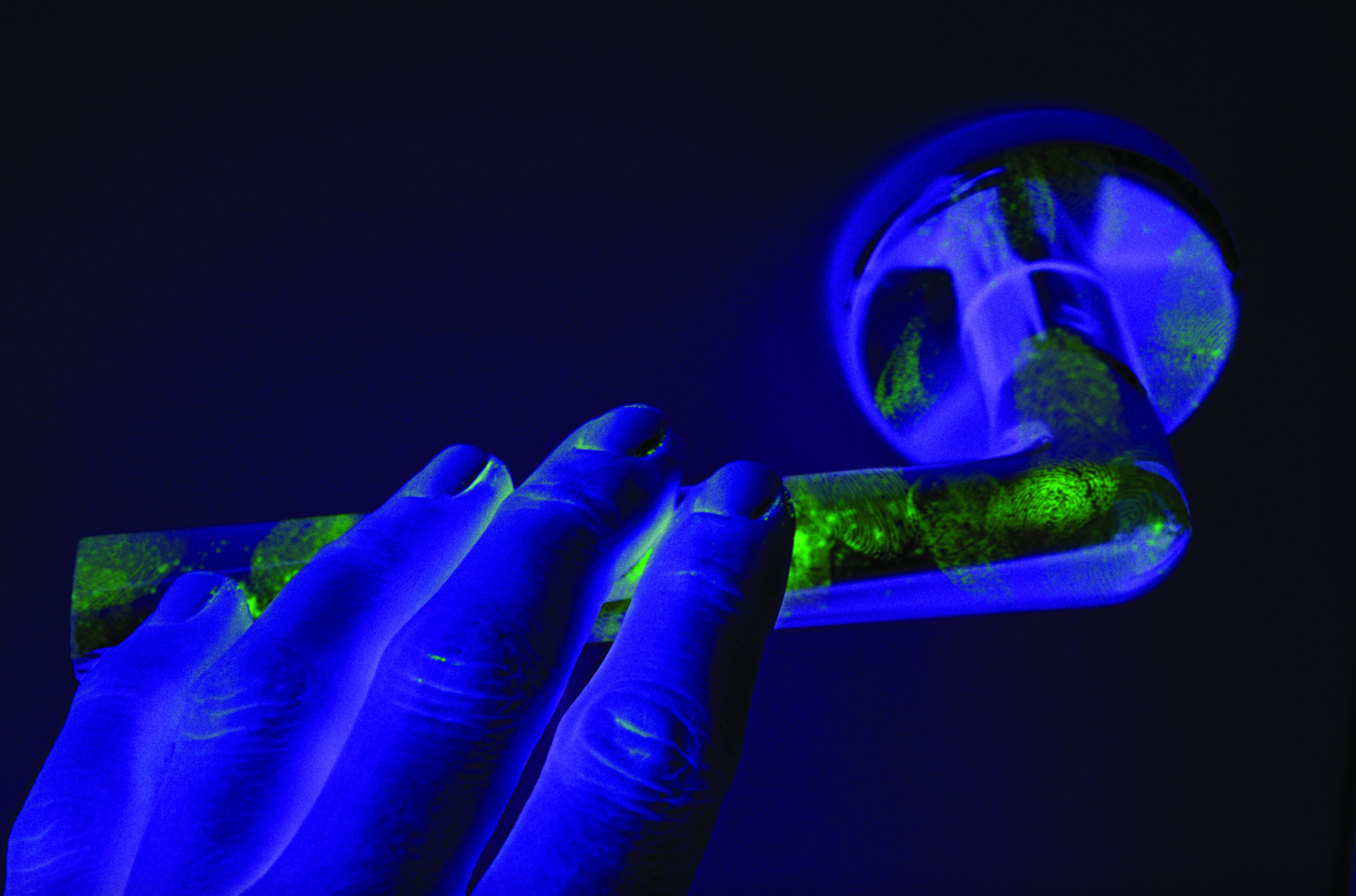 LCRCA BE MORE APPRENTICESHIP SERVICE UPDATE