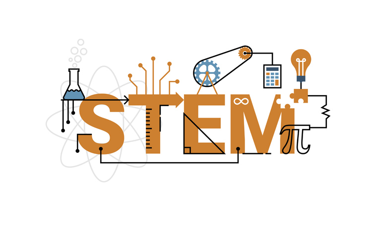 WHAT ARE STEM SUBJECTS AND SHOULD I STUDY THEM?