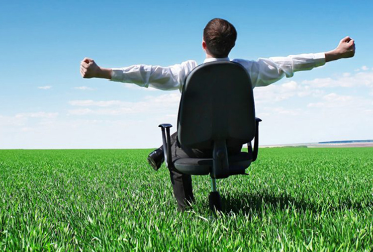 HOW ABOUT A GREEN CAREER?