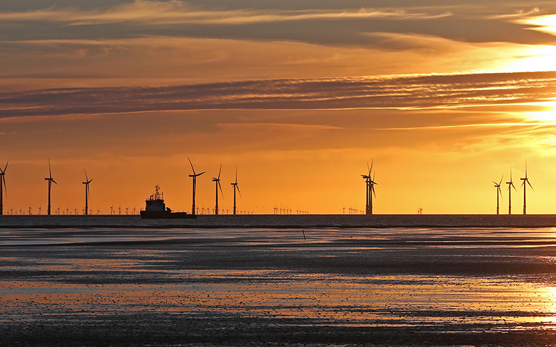 GREEN CAREERS WEEK: UPSKILLING COULD FUTURE-PROOF YOUR JOB