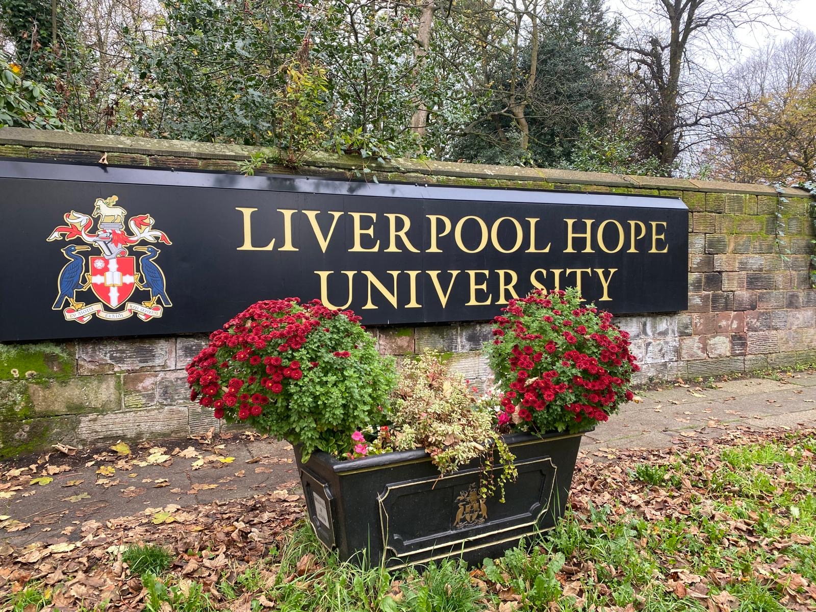 SPILLING THE BEANS ON DEGREE APPRENTICESHIPS